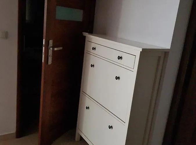 公寓 Zoppot-abrahama *