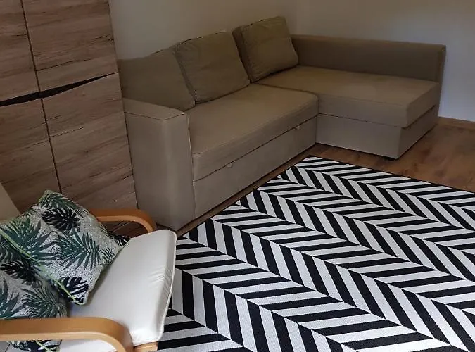 公寓 Zoppot-abrahama